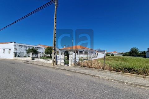 Tomt i Alpiarca, Santarem, Alpiarca - € 55 000 | Ref: TERR4470 - foto 11