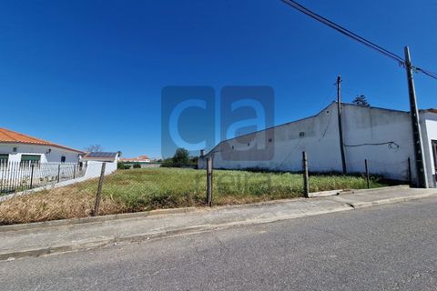 Tomt i Alpiarca, Santarem, Alpiarca - € 55 000 | Ref: TERR4470 - foto 12