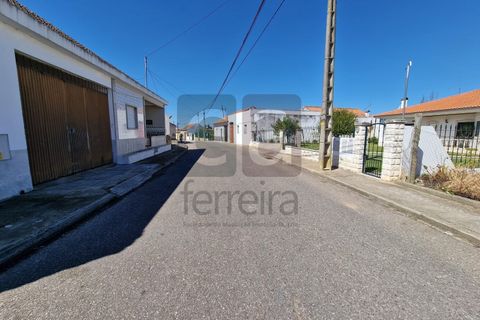 Tomt i Alpiarca, Santarem, Alpiarca - € 55 000 | Ref: TERR4470 - foto 13