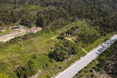 Helårsgrund i Perozelo, Porto, Perozelo - € 520.000 | Ref: MP-EF-T-383 - foto 2