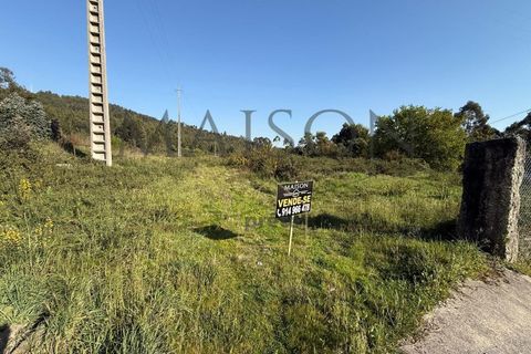 Helårsgrund i Perozelo, Porto, Perozelo - € 520.000 | Ref: MP-EF-T-383 - foto 3