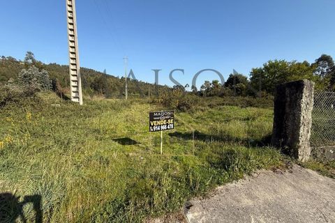 Helårsgrund i Perozelo, Porto, Perozelo - € 520.000 | Ref: MP-EF-T-383 - foto 5