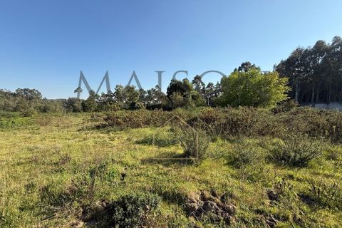 Helårsgrund i Perozelo, Porto, Perozelo - € 520.000 | Ref: MP-EF-T-383 - foto 7