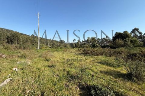 Helårsgrund i Perozelo, Porto, Perozelo - € 520.000 | Ref: MP-EF-T-383 - foto 8