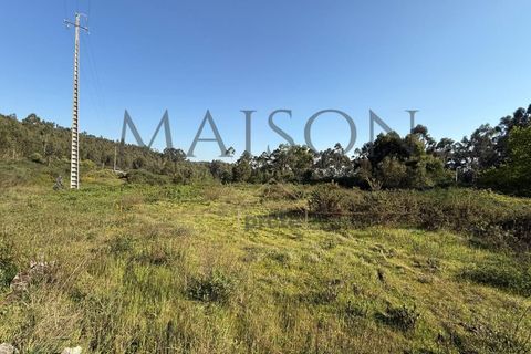 Helårsgrund i Perozelo, Porto, Perozelo - € 520.000 | Ref: MP-EF-T-383 - foto 10