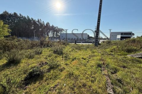 Helårsgrund i Perozelo, Porto, Perozelo - € 520.000 | Ref: MP-EF-T-383 - foto 11