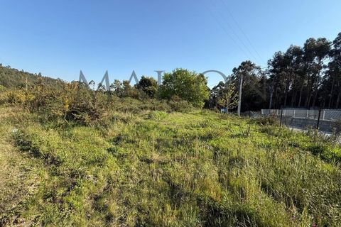 Helårsgrund i Perozelo, Porto, Perozelo - € 520.000 | Ref: MP-EF-T-383 - foto 12