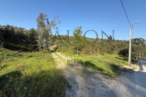 Helårsgrund i Perozelo, Porto, Perozelo - € 520.000 | Ref: MP-EF-T-383 - foto 13