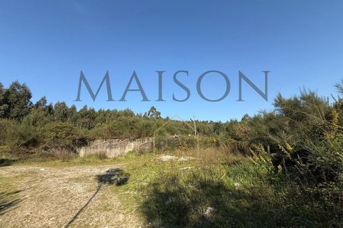 Helårsgrund i Perozelo, Porto, Perozelo - € 520.000 | Ref: MP-EF-T-383 - foto 14