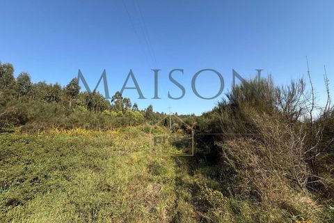 Helårsgrund i Perozelo, Porto, Perozelo - € 520.000 | Ref: MP-EF-T-383 - foto 15