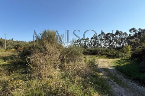 Helårsgrund i Perozelo, Porto, Perozelo - € 520.000 | Ref: MP-EF-T-383 - foto 16