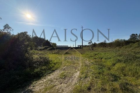 Helårsgrund i Perozelo, Porto, Perozelo - € 520.000 | Ref: MP-EF-T-383 - foto 17