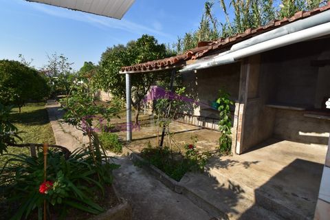 Villa a Atalaia, Santarem, Atalaia - € 274.900 | Ref: 2496 - foto 34