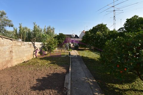 Villa a Atalaia, Santarem, Atalaia - € 274.900 | Ref: 2496 - foto 43