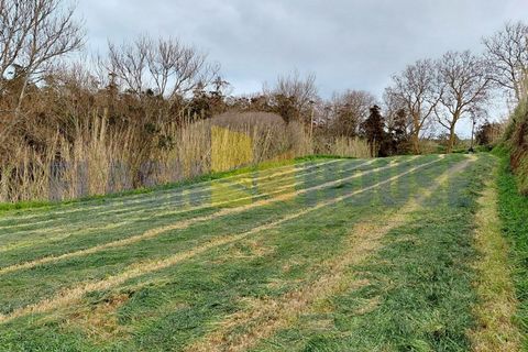 Terra a Mosteiros, Sao Miguel, Mosteiros - € 67.500 | Ref: FHPL5066 - foto 2