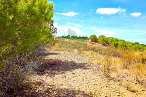 Helårsgrund i Castro Marim, Faro, Castro Marim - € 25.000 | Ref: SÒL_573 - foto 4