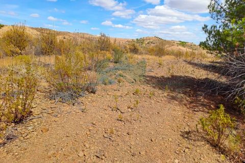 Helårsgrund i Castro Marim, Faro, Castro Marim - € 25.000 | Ref: SÒL_573 - foto 7