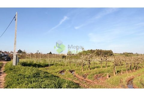 Helårsgrund i Cadaval, Lisbon, Cadaval - € 8.000 | Ref: 2214 - foto 10