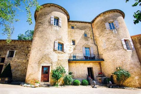 Landejendom i Ige, Saone-et-Loire, Ige - € 2.300.000 | Ref: 69255 - foto 2