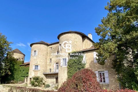 Landejendom i Ige, Saone-et-Loire, Ige - € 2.300.000 | Ref: 69255 - foto 1