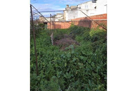 Villa i Alter do Chao, Portalegre, Alter do Chao - € 40.000 | Ref: 011260038 - foto 14