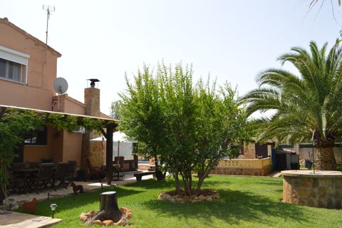 Finca i Jalon, Alicante, Jalon - € 468.000 | Ref: xpv02016p - foto 28