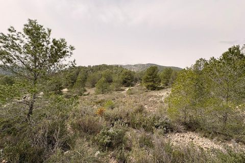 Helårsgrund i Petrer, Alicante, Petrer - € 106.000 | Ref: JJO7255 - foto 2