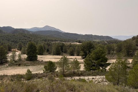 Helårsgrund i Petrer, Alicante, Petrer - € 106.000 | Ref: JJO7255 - foto 3