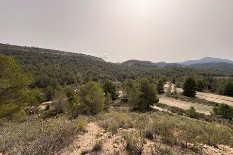 Helårsgrund i Petrer, Alicante, Petrer - € 106.000 | Ref: JJO7255 - foto 4