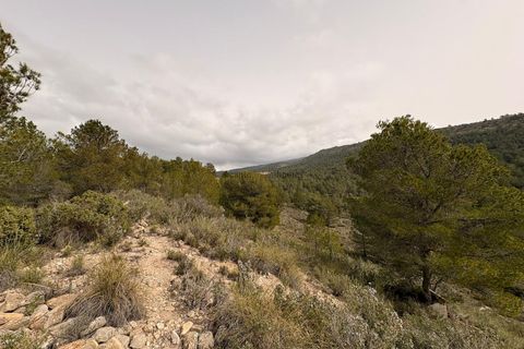 Helårsgrund i Petrer, Alicante, Petrer - € 106.000 | Ref: JJO7255 - foto 5