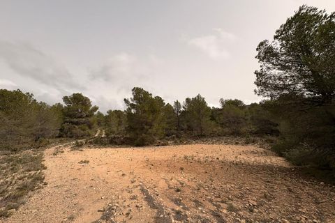Helårsgrund i Petrer, Alicante, Petrer - € 106.000 | Ref: JJO7255 - foto 6