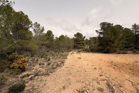 Helårsgrund i Petrer, Alicante, Petrer - € 106.000 | Ref: JJO7255 - foto 7