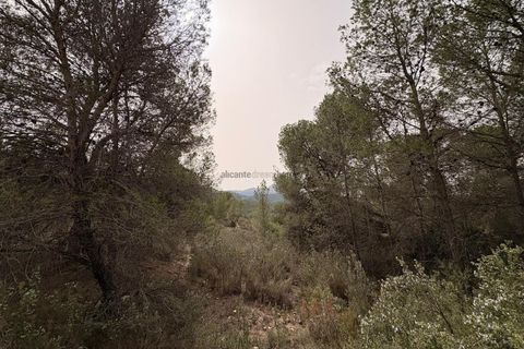 Helårsgrund i Petrer, Alicante, Petrer - € 106.000 | Ref: JJO7255 - foto 8