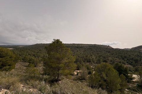 Helårsgrund i Petrer, Alicante, Petrer - € 106.000 | Ref: JJO7255 - foto 10