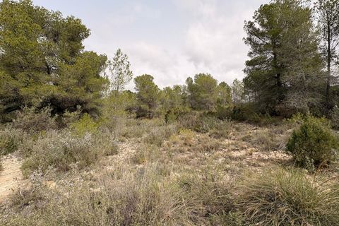 Helårsgrund i Petrer, Alicante, Petrer - € 106.000 | Ref: JJO7255 - foto 11