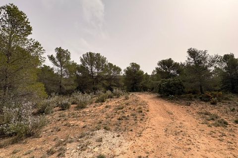 Helårsgrund i Petrer, Alicante, Petrer - € 106.000 | Ref: JJO7255 - foto 12