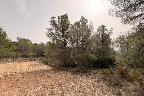Helårsgrund i Petrer, Alicante, Petrer - € 106.000 | Ref: JJO7255 - foto 14