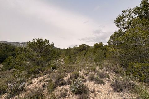Helårsgrund i Petrer, Alicante, Petrer - € 106.000 | Ref: JJO7255 - foto 16