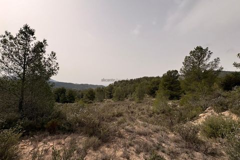 Helårsgrund i Petrer, Alicante, Petrer - € 106.000 | Ref: JJO7255 - foto 17