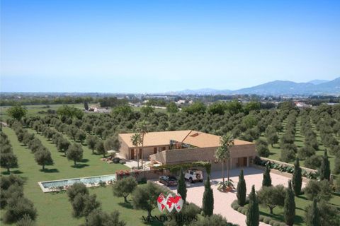 Helårsgrund i Inca, Mallorca, Inca - € 1.700.000 | Ref: S137 - foto 4
