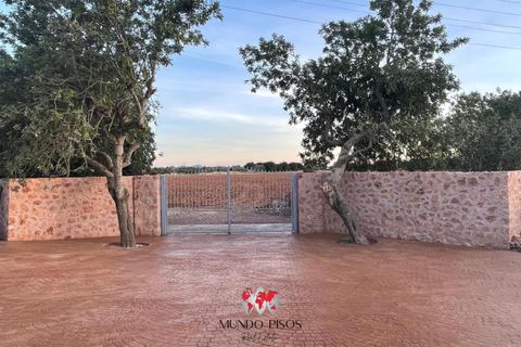Helårsgrund i Inca, Mallorca, Inca - € 1.700.000 | Ref: S137 - foto 3