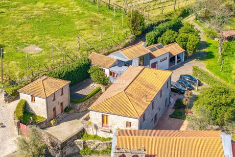 Farm i Amarante, Porto, Amarante - € 950.000 | Ref: ITH4192 - foto 2