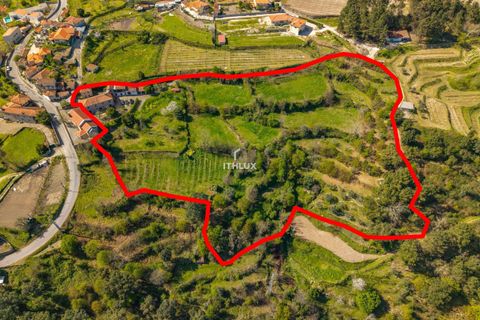 Farm i Amarante, Porto, Amarante - € 950.000 | Ref: ITH4192 - foto 34