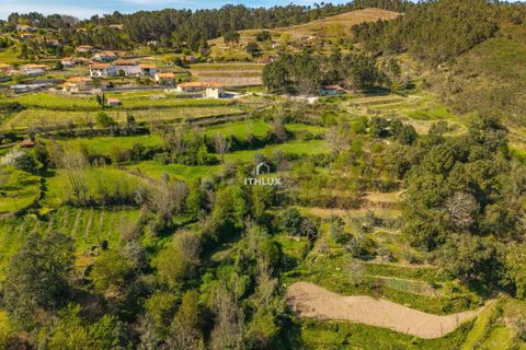 Farm i Amarante, Porto, Amarante - € 950.000 | Ref: ITH4192 - foto 35