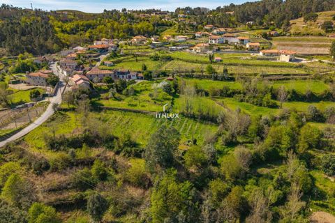 Farm i Amarante, Porto, Amarante - € 950.000 | Ref: ITH4192 - foto 36