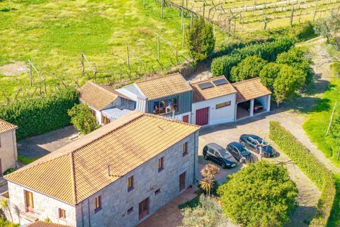 Farm i Amarante, Porto, Amarante - € 950.000 | Ref: ITH4192 - foto 41
