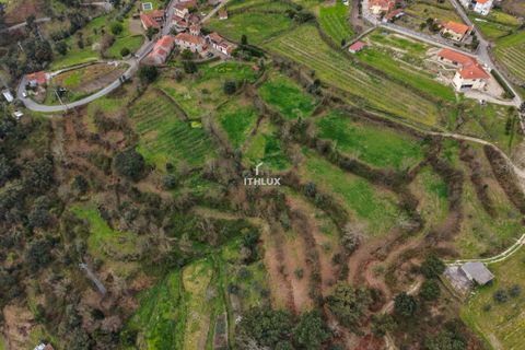 Farm i Amarante, Porto, Amarante - € 950.000 | Ref: ITH4192 - foto 49