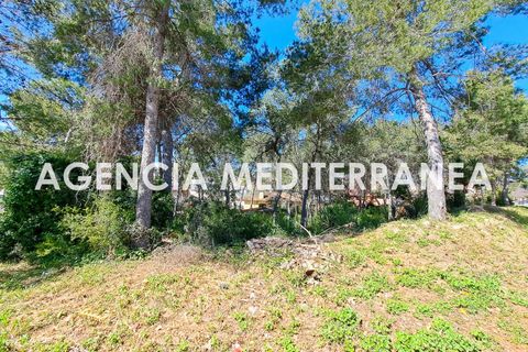 Terra a Paterna, Valencia, Paterna - € 220.000 | Ref: 9082/5940 - foto 2