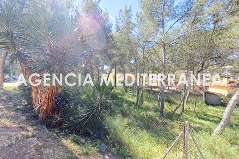 Terra a Paterna, Valencia, Paterna - € 220.000 | Ref: 9082/5940 - foto 3