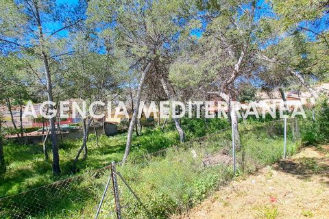 Terra a Paterna, Valencia, Paterna - € 220.000 | Ref: 9082/5940 - foto 4